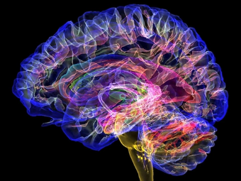操b在线视频大脑植入物有助于严重头部损伤恢复